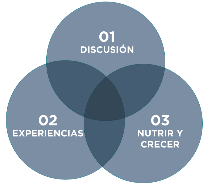 howWeWorkInfographic_spanish